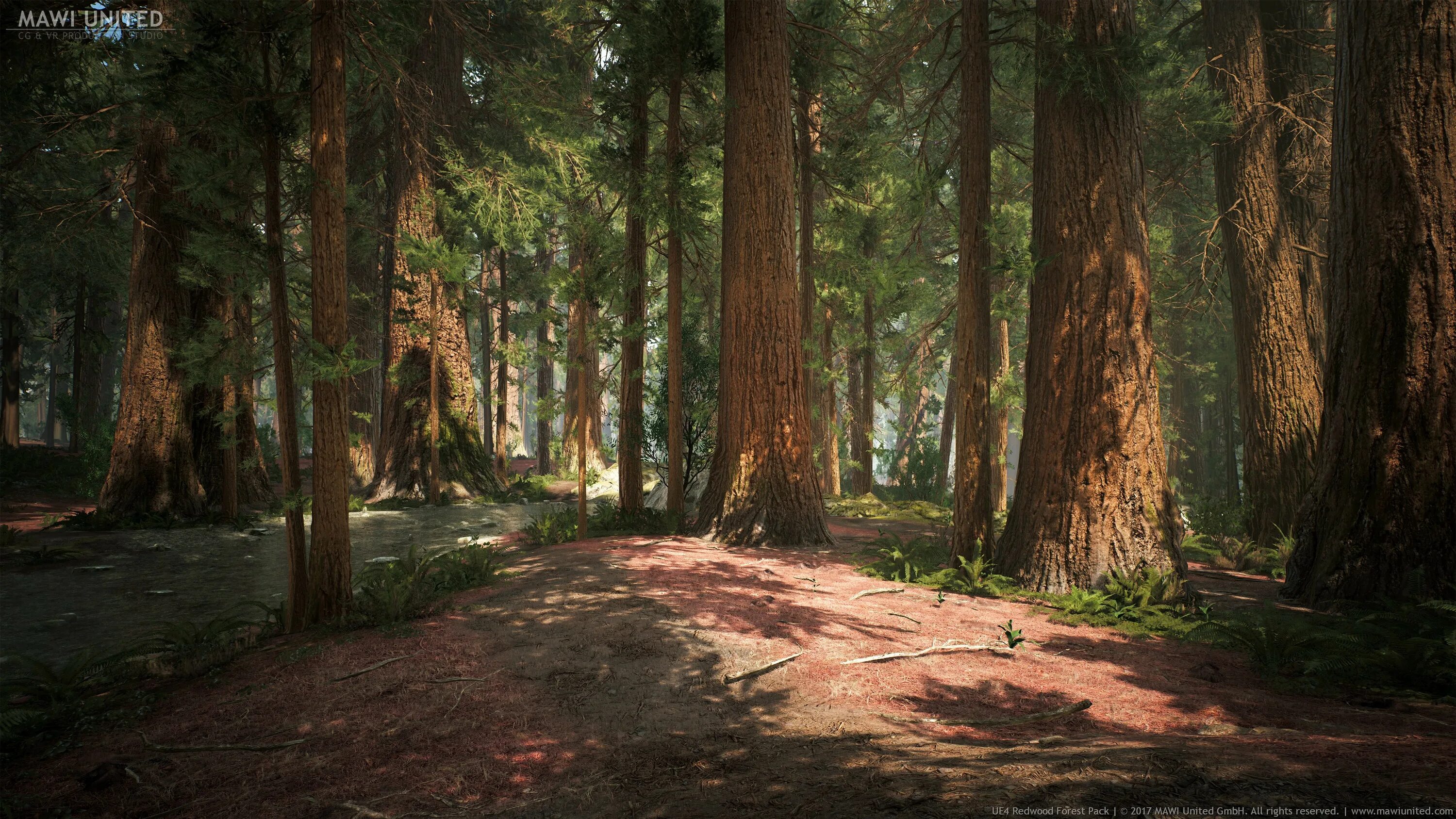 Утро в хвойном лесу. Лес. Рассвет в сосновом лесу. Unreal engine 4 лес. Forest 4 отзывы.