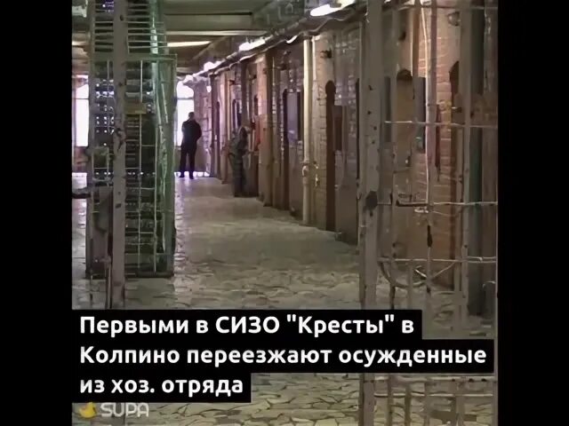 Спб кресты колпино