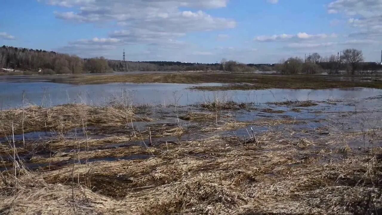 Снт протва 2. Разлив реки Протва. Староскаковское Калуга разлив Угра половодье 2013. Разлив реки Суходрев Полотняный завод. Река Протва Обнинск.