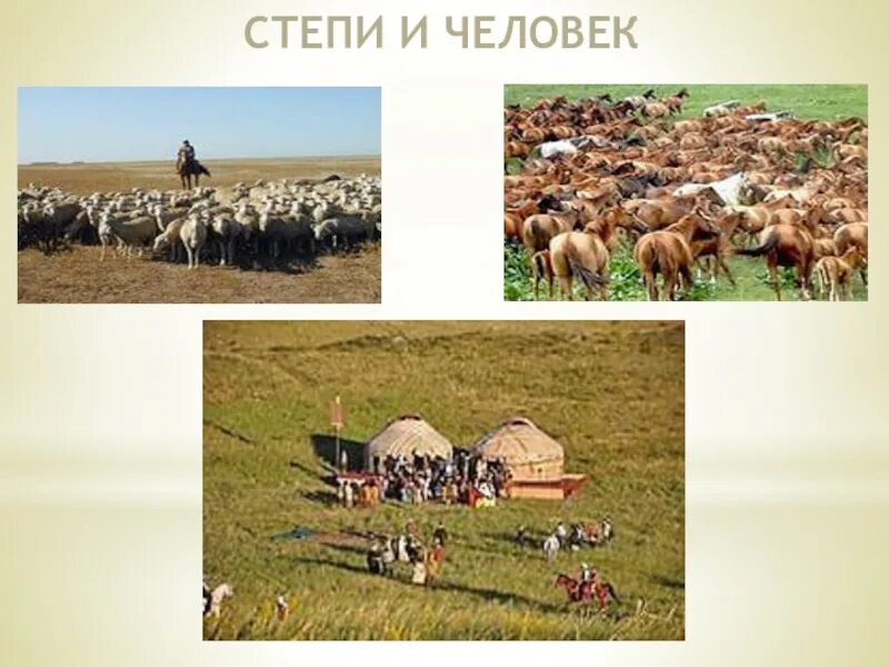 Деятельность человека в Степной зоне России 4. Хозяйственная деятельность человека в степи и лесостепи в России. Хоз деятельность человека в лесостепях и степях России. Население степи.