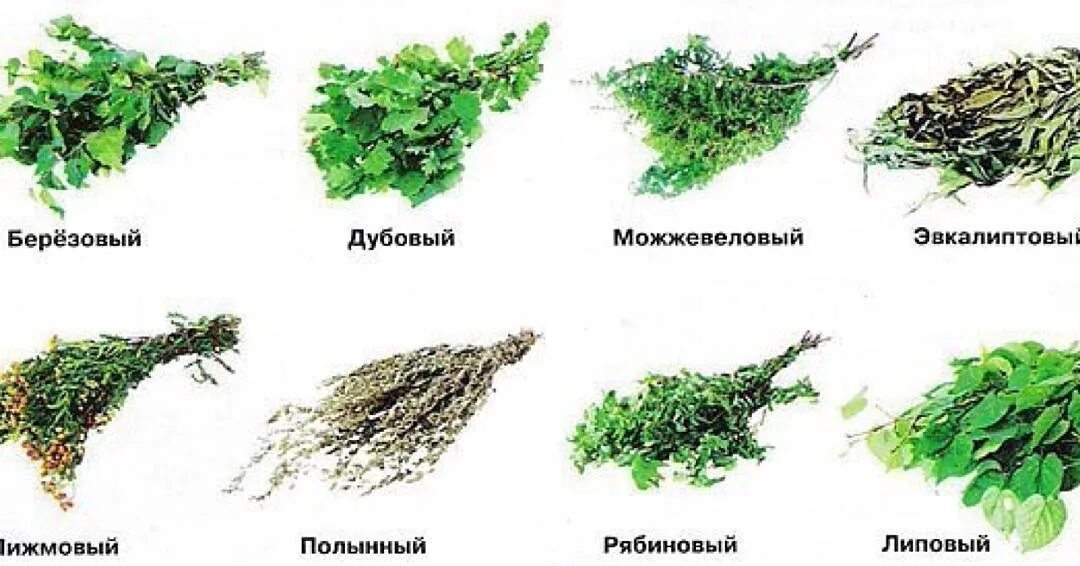 Веники веники веники помелики. Веник для бани. Травяные веники для бани. Веники из трав для бани. Какую траву в бане