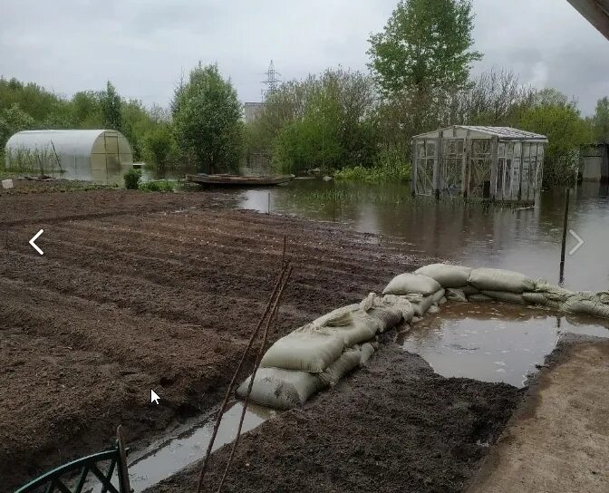 Уровень воды в каме березники на сегодня. Теплицу затопило водой. Потоп в теплице. Березники подтопление. Потоп в теплицах.