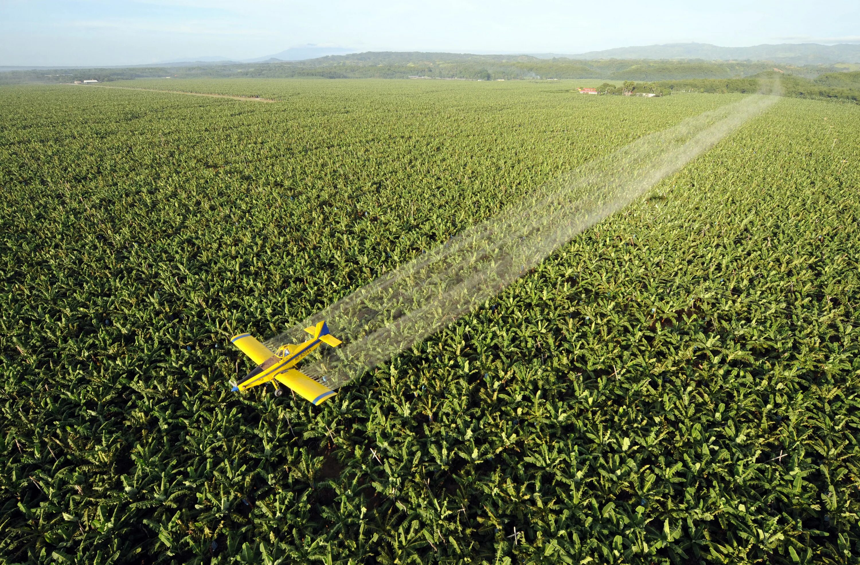 Пестициды. Пестициды в сельском хозяйстве. Сельскохозяйственное загрязнение. Пестициды и гербициды. В результате длительного применения ядохимикатов на полях