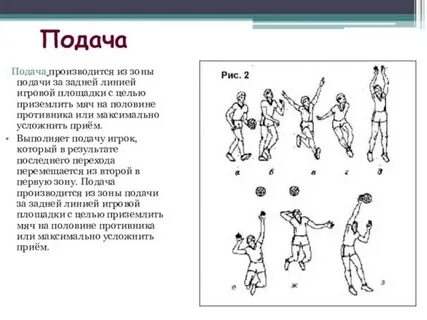Задняя линия в волейболе