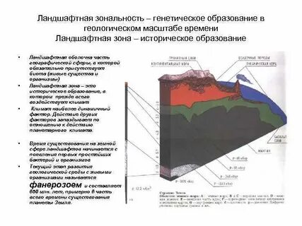 Зональность процессов в географической оболочке