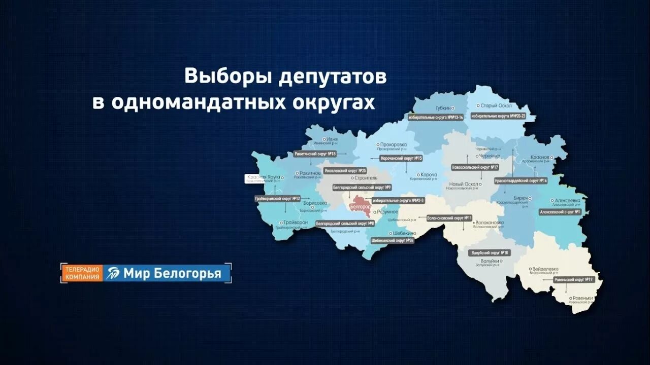 Избранные по одномандатным округам