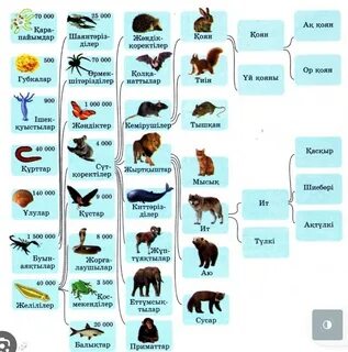 Қысқа порно көру