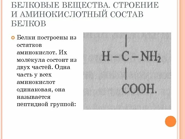 Белки белковые вещества. Строение и аминокислотный состав белков. Вещества состоящие из белков. Белковые соединения. Из аминокислот состоят молекулы.