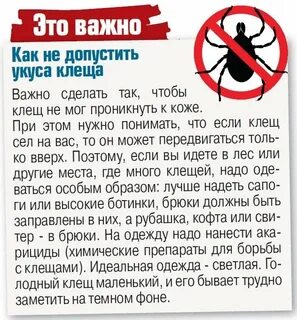 Куда обращаться при укусе