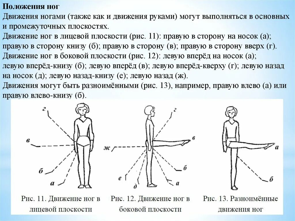 Движения ногами. Основные положения движения руками ногами туловищем. Основные положения положения рук ,ног ,туловища. Основные исходные положения и движения. Основные исходные положения ног.