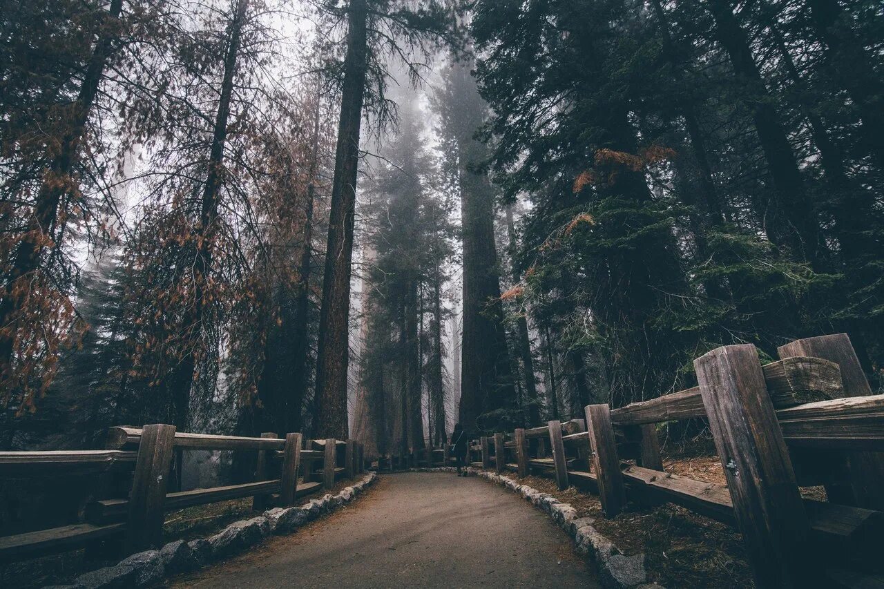 Nature search