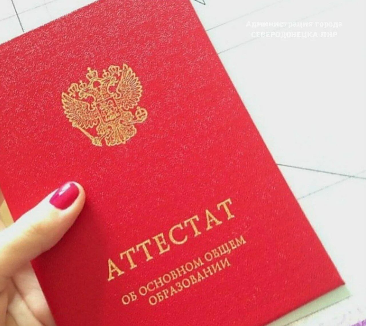 Оценки в красном аттестате 11 класс. Проект в аттестате. Оценки в красном аттестате 11 класс. Оценки в красном аттестате 11 класс. Оценки в красном аттестате 11 класс.