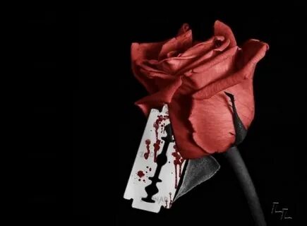 Bloody roses