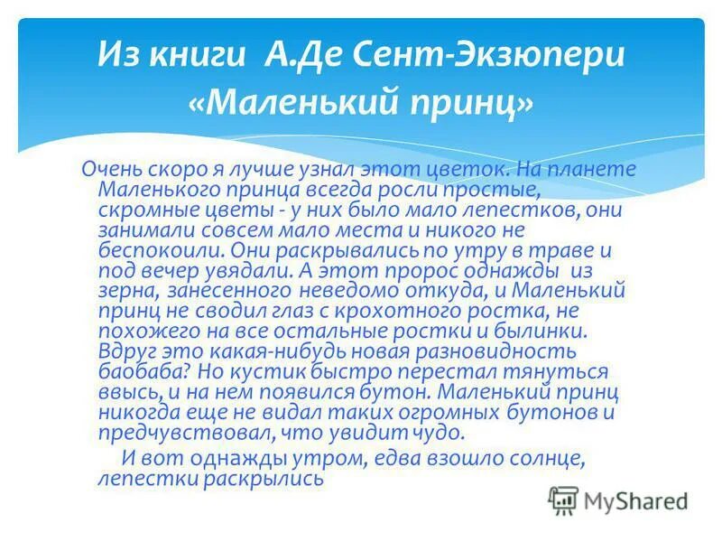 на планете маленького принца росли. на планете маленького принца росли. на планете маленького принца росли. волшебный текст. на планете маленького принца росли скромные.