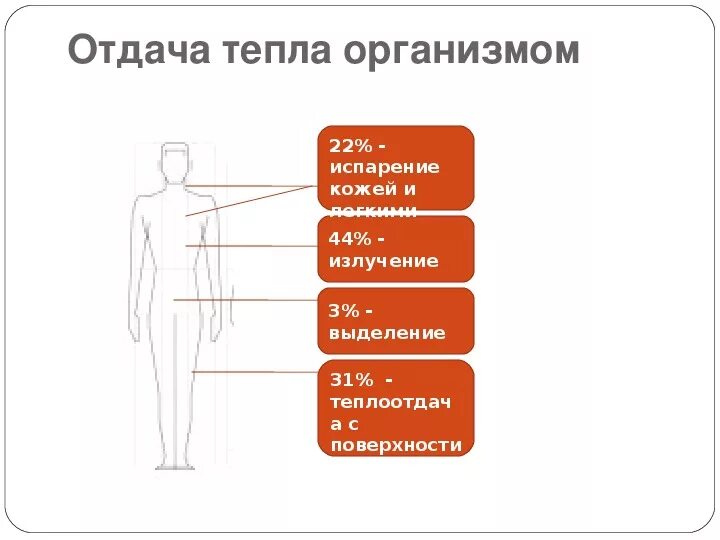 Схема теплоотдачи тела человека. Отдача тепла организмом. Способы отдачи тепла организмом. Основные пути отдачи тепла организмом.