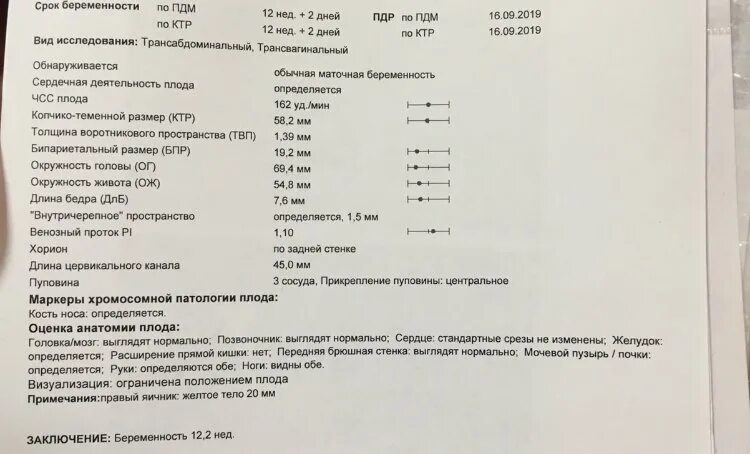 Анализ на патологию при беременности. Маркеры хромосомной патологии плода кость носа. Маркеры хромосомной патологии плода кость носа определяется. УЗИ 12 недель беременности расшифровка нормы носовой кости.