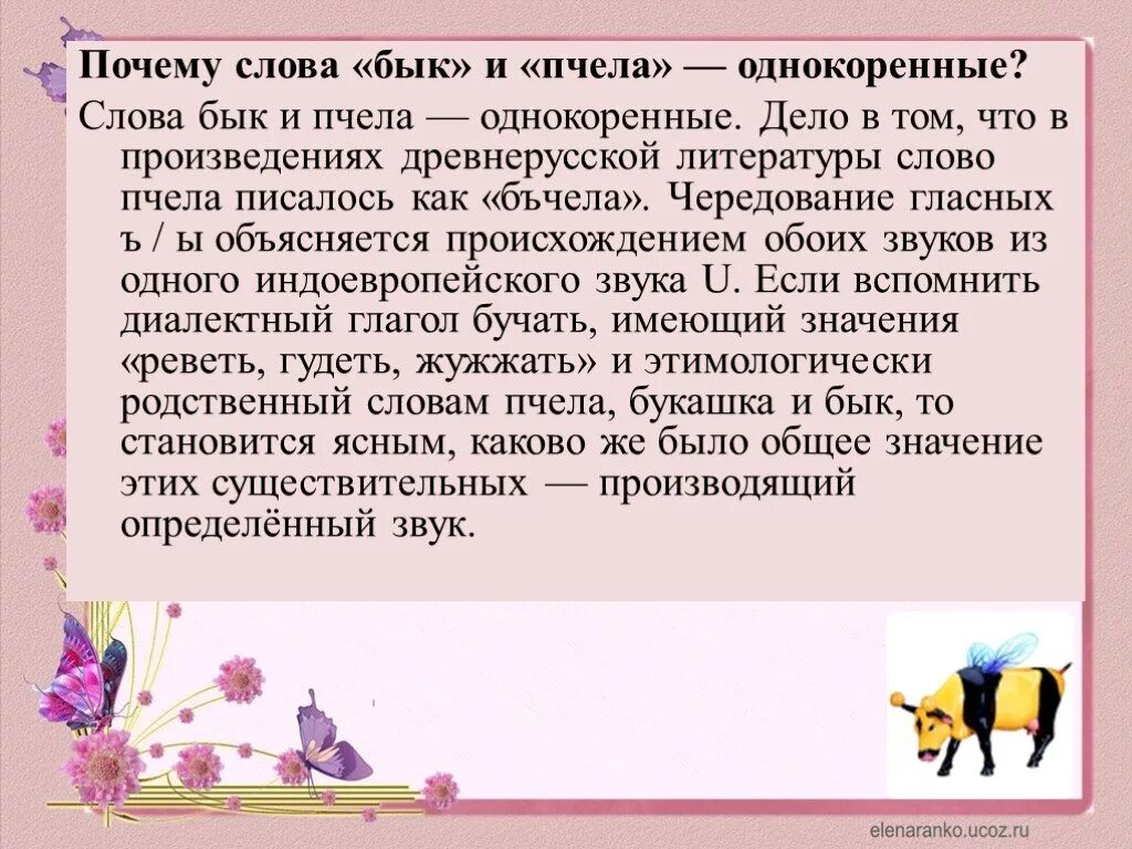 Почему текст это произведение. Интересные факты о словах. Интересные слова. Бык и пчела однокоренные слова почему. Пчела и бык этимология.