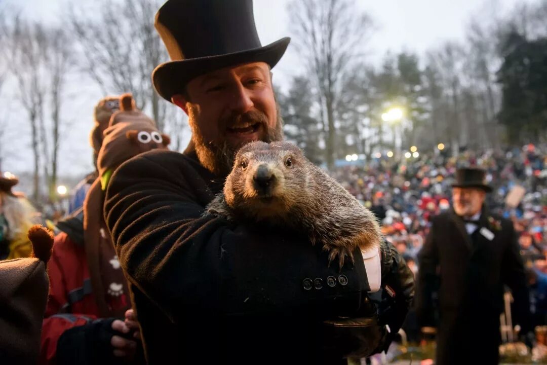 Суть дня сурка. Punxsutawney Phil. Сурок Фил из Пенсильвании. Сурок Фил из Панксатони. Сурок Фил в США.