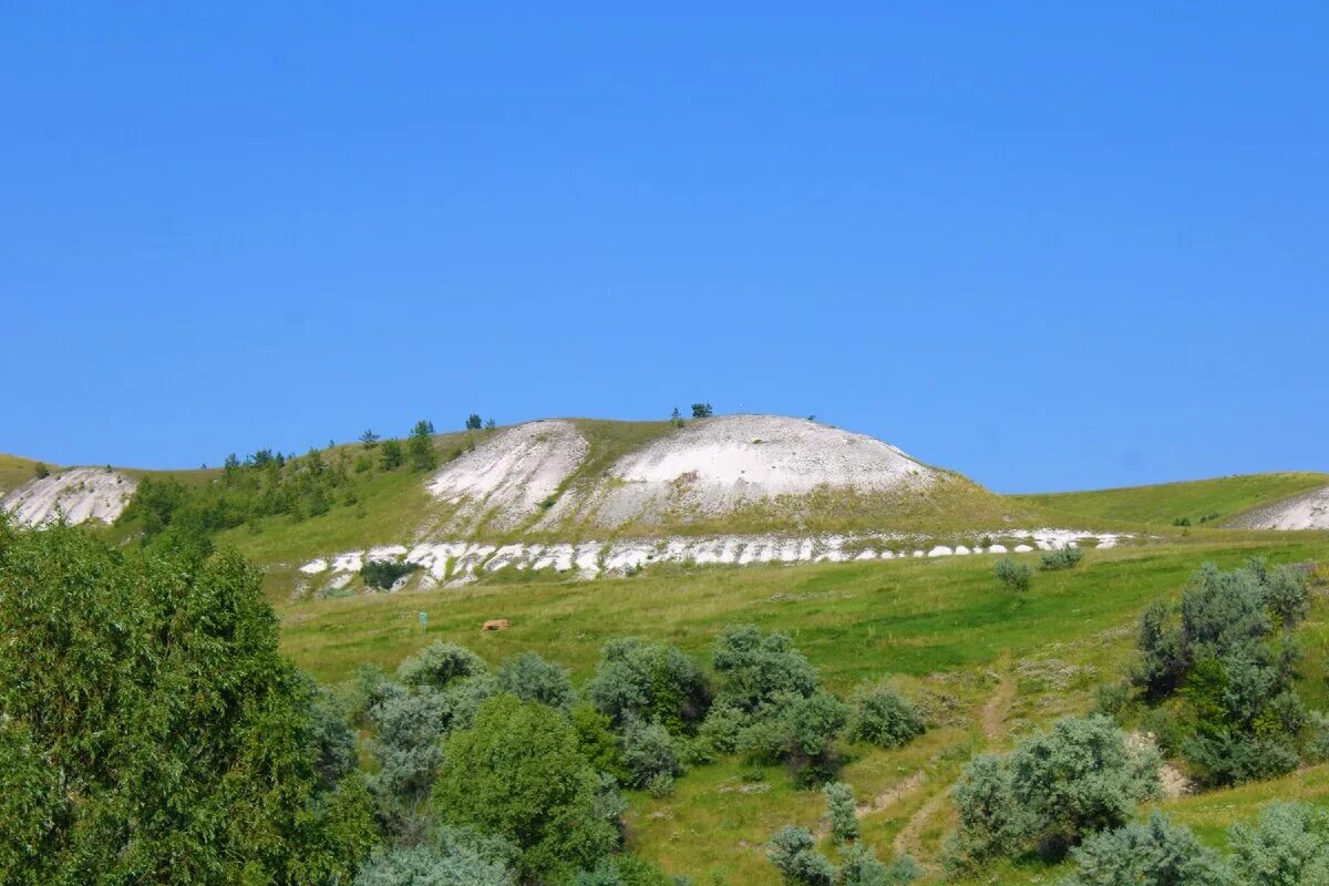 Село сенгилеевское погода. Сенгилеевские меловые горы. Красоты Ульяновской области Сенгилеевские горы. Тушна горы Ульяновск. Сенгилей Ульяновская область горы.