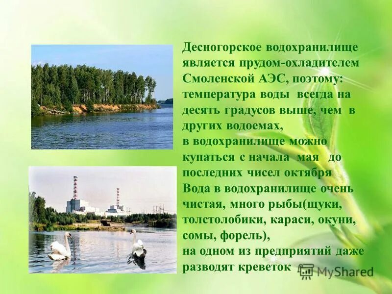 Вода воды десногорское водохранилище