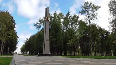 Сквер видео