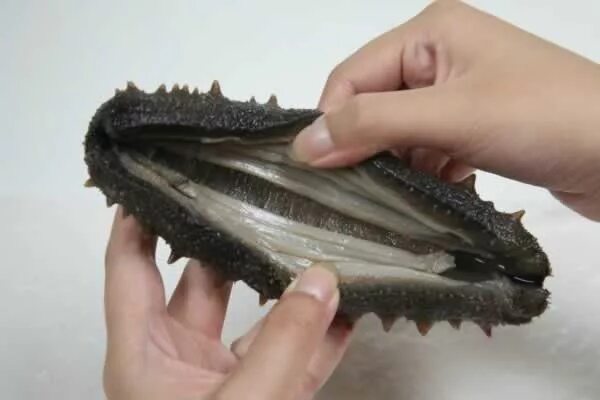 Рыба кукумария как выглядит Трепанг (Морской огурец), живой 100-150гр/шт. купить с доставкой на дом в Москве
