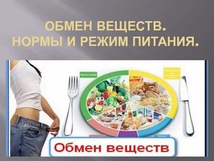 Правила нормального питания
