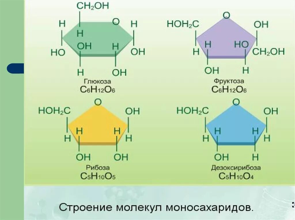 Фруктоза Глюкоза рибоза дезоксирибоза галактоза. Глюкоза фруктоза галактоза формулы. Глюкоза фруктоза сахароза формулы. Рибоза Глюкоза фруктоза. Сахар рибоза