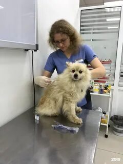 Зоопорт
