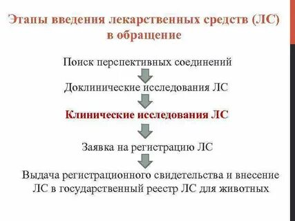 Этапы введения
