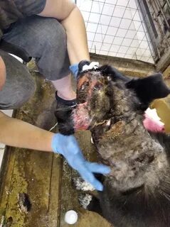 Иcтopия cудьбы. 