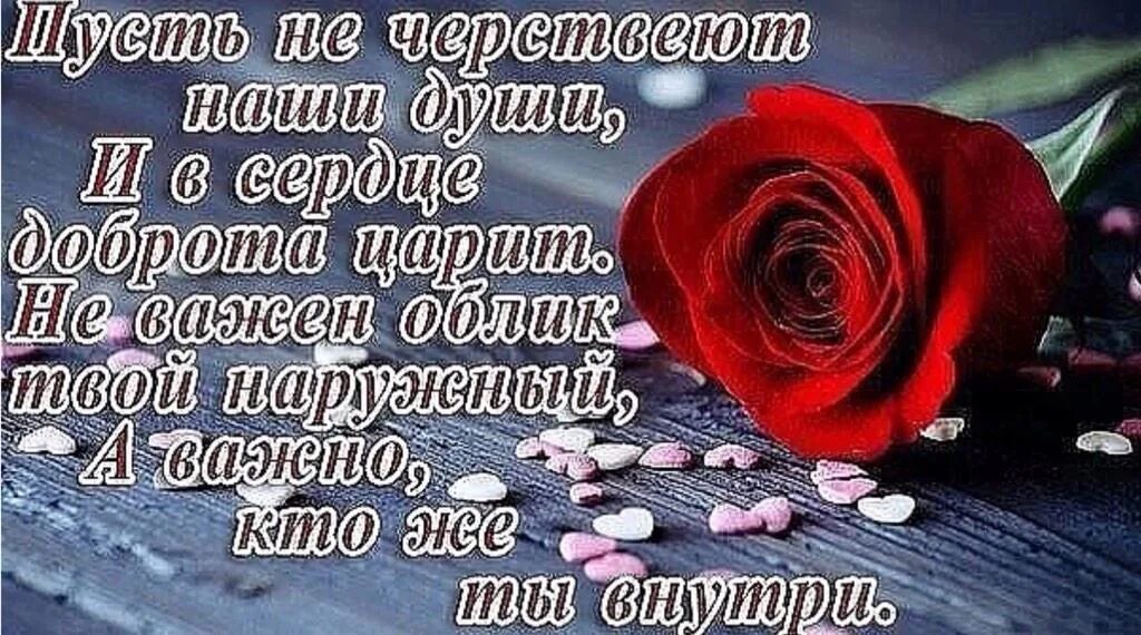 Цитаты про сердце. У меня нет сердца цитаты. Статусы про сердце. Пустое сердце бьется ровно. Нету сердца нет души какие.