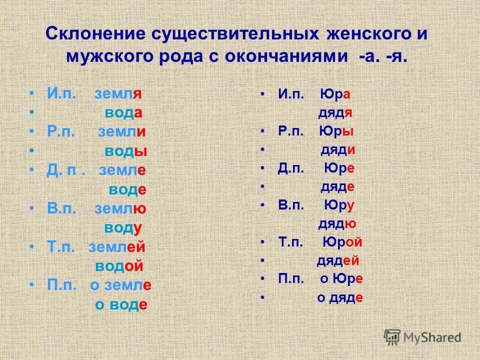 Слова оканчивающиеся на я существительные