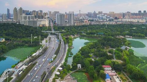 Урбоэкосистема