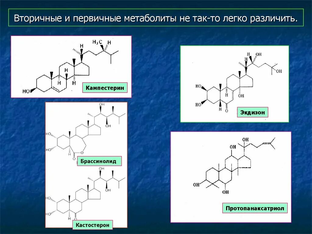 Первичные соединения и вторичные соединения. Функции вторичных метаболитов растений. Вторичные метаболиты микроорганизмов. Первичные и вторичные метаболиты. Первичные метаболиты примеры.