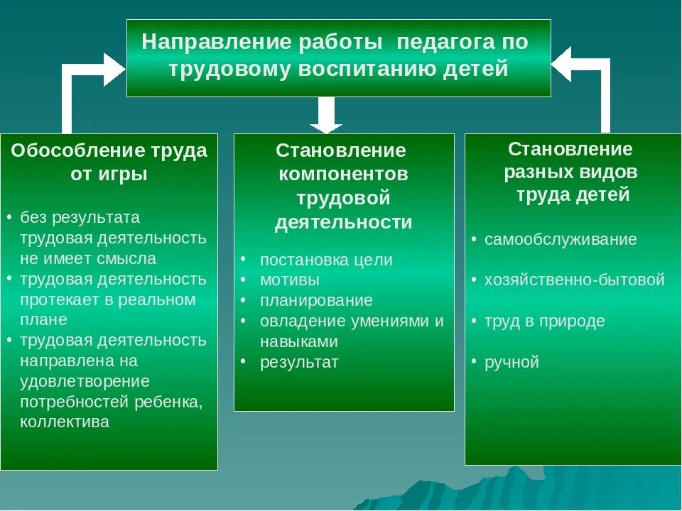 Формы работы по трудовому воспитанию. Цели и задачи трудового воспитания в ДОУ. Трудовое воспитание задачи содержание. Основные направления трудового воспитания дошкольников. Задачи трудовой школы