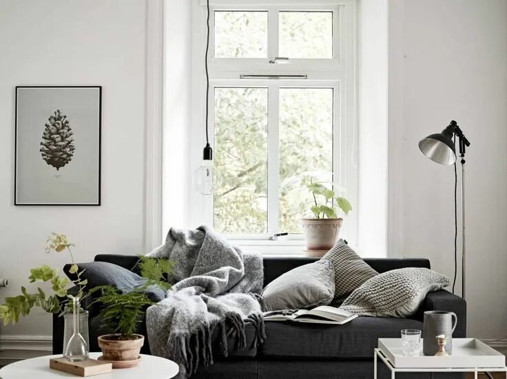 Cosy flat. Растения в скандинавском интерьере. скандинавский интерьер на закате. cozy flat. хюгге в интерьере фото.