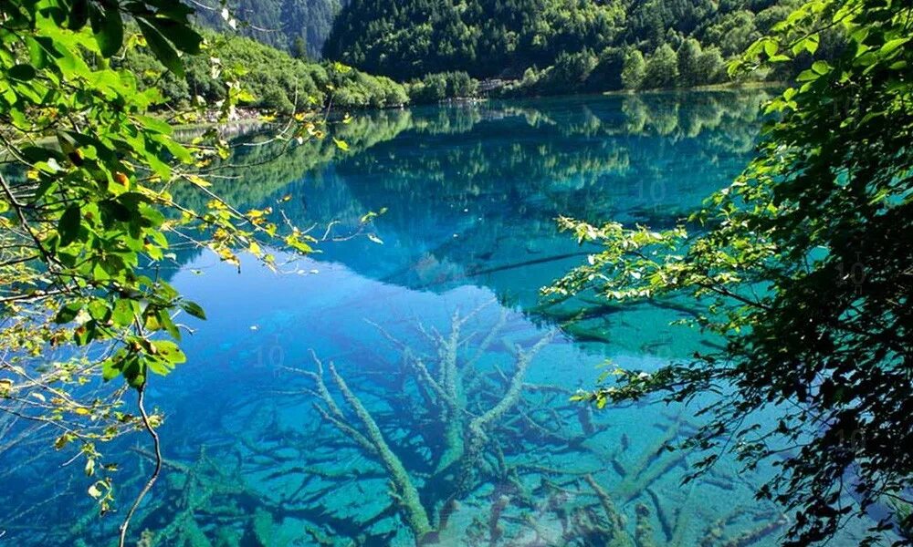Нельсон-Лейкс голубое озеро. Долина Цзючжайгоу Китай. Долина Цзючжайгоу (провинция Сычуань). Новозеландия прозрачное озеро. Прозрачность воды в озерах