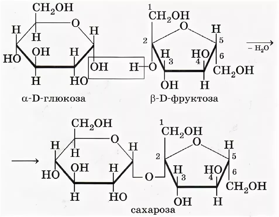 Состав глюкозы и фруктозы. Глюкоза фруктоза сахароза формулы. Глюкоза сахароза фруктоза отличия. Сахароза д Глюкоза д фруктоза. Строение сахарозы Глюкозы и фруктозы.