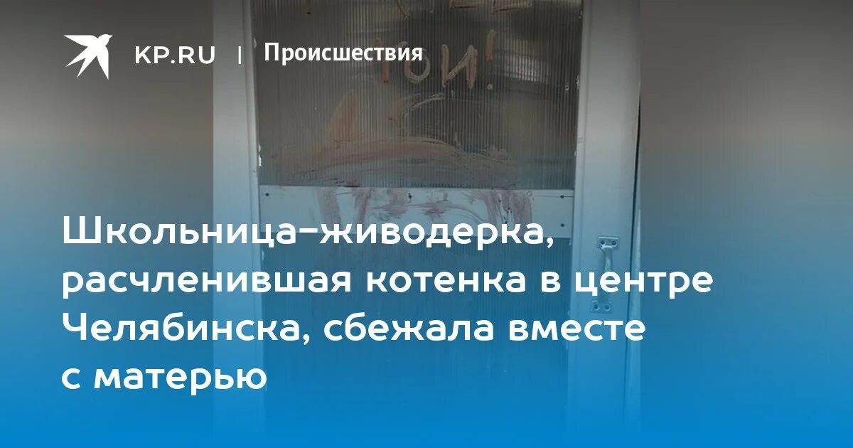 Сбежали челябинск. В Челябинске расчленили котенка.