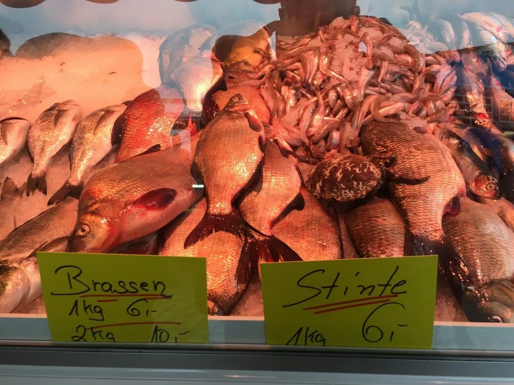 махачкалинский рынок рыба. аланья рыбный базар. рыбный рынок в очаково. мышкин рыбный базар. галатская башня на карте стамбула.