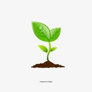 Ecological plants