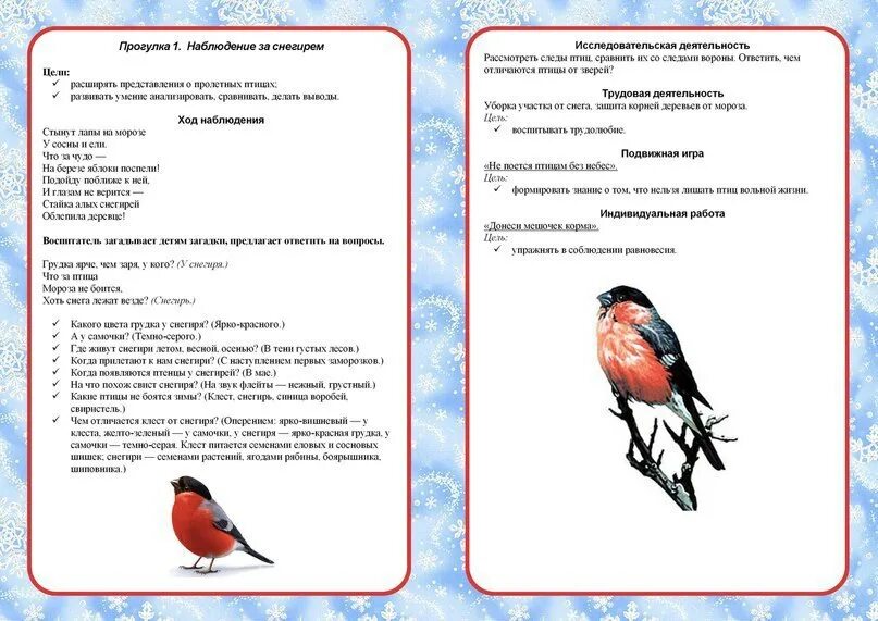 Картотека наблюдений подготовительная группа по фгос. Наблюдение на прогулке в подготовительной группе в декабре. картотека прогулок январь в подготовительной группе. картотека зимних прогулок в подготовительной группе декабрь. картотека прогулок в подгот группе.