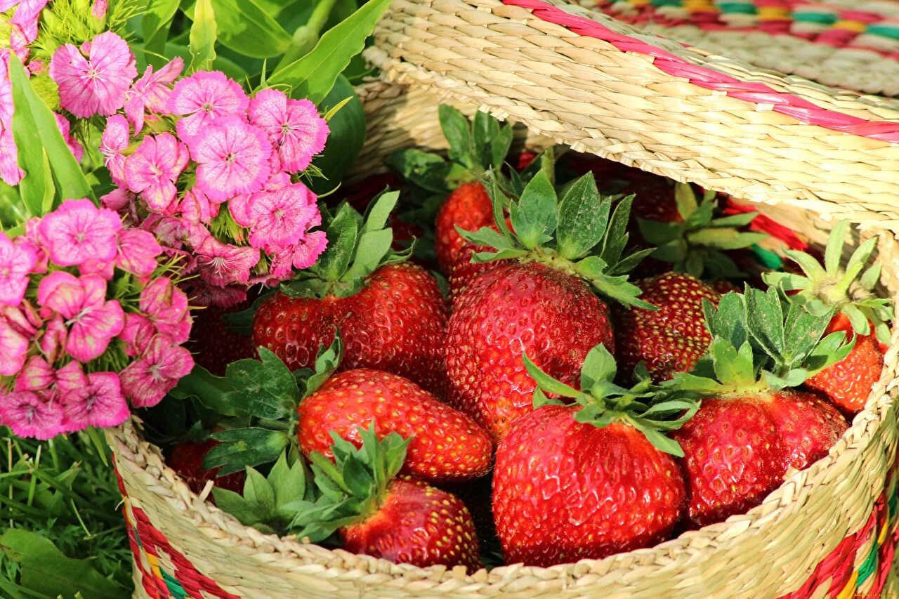 Добрый день любимые друзья. Клубника. Цветы и ягоды. Ягоды в лукошке. Лето ягоды цветы.