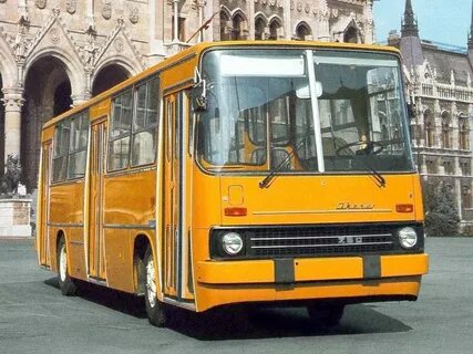 Автобус штаны