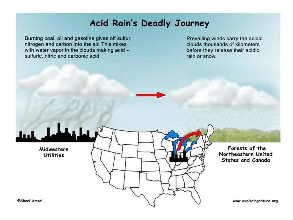 Английский 7 класс стр 77 acid rain. Acid Rain. Кислотные дожди на английском языке. Что такое кислотный дождь на английском. Acid Rain топик.