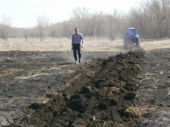 Погода в ратчино шарлыкского района оренбургской области. Зеркло Оренбургская область Шарлыкский район. Ратчино Оренбургская область Шарлыкский район. Урняк Шарлыкский район. Колычево Шарлыкский район.