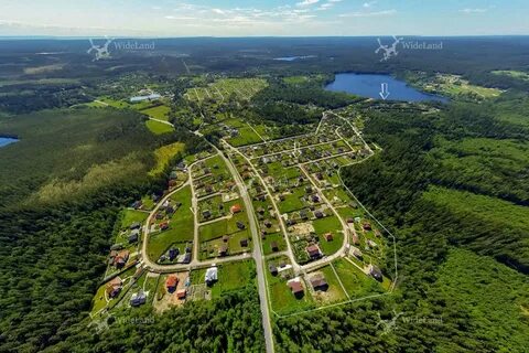 Ольшаники выборгский
