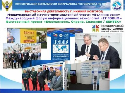 Деятельность департамента