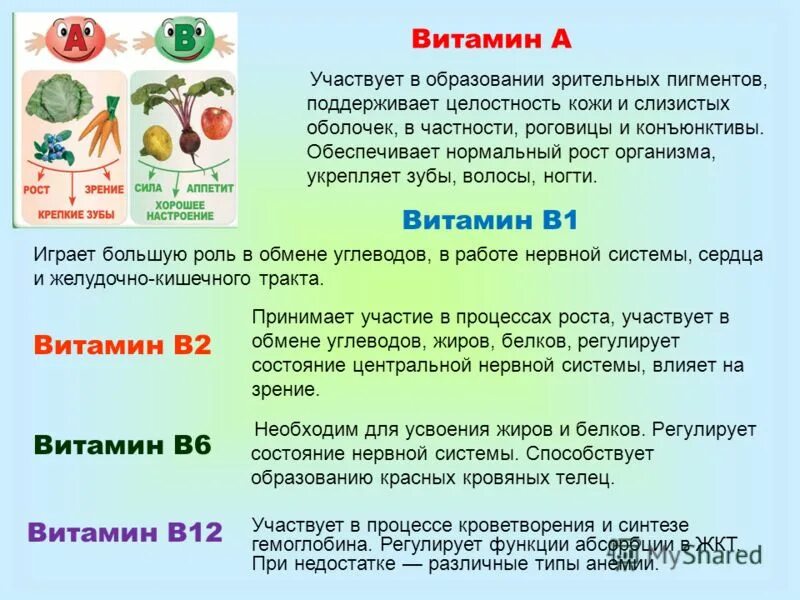 Витамин участвующий в образовании зрительного пигмента. Витамины участвуют в образовании. Наше питание. Усвоение витаминов. Какой витамин участвует в образовании зрительного пигмента.